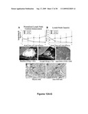 METHODS AND COMPOSITIONS FOR TREATING INFLAMMATORY CONDITIONS diagram and image