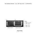 METHODS AND COMPOSITIONS FOR TREATING INFLAMMATORY CONDITIONS diagram and image