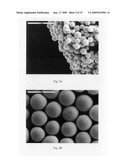 POLYMERIC MICROSPHERES diagram and image