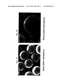 POLYMERIC MICROSPHERES diagram and image