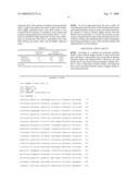 Branched-chain amino acid aminotransferase gene and use thereof diagram and image