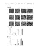 METHOD FOR INDUCTION OF THE DIFFERENTIATION OF VISCERAL FAT CELL diagram and image