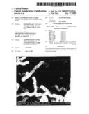 Metal Nanowires With An Oxide Sheath And Production Method For Same diagram and image