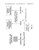 MULTIPOTENT ADULT STEM CELLS AND METHODS FOR ISOLATION diagram and image