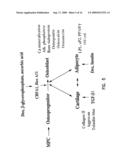 MULTIPOTENT ADULT STEM CELLS AND METHODS FOR ISOLATION diagram and image