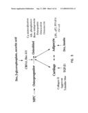 MULTIPOTENT ADULT STEM CELLS AND METHODS FOR ISOLATION diagram and image