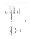 MULTIPOTENT ADULT STEM CELLS AND METHODS FOR ISOLATION diagram and image