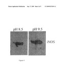 METHOD FOR IMPROVING CHEMILUMINESCENT SIGNAL diagram and image