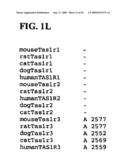 Taste Receptors Of The T1R Family From Domestic Dog diagram and image