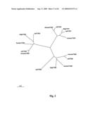 Taste Receptors Of The T1R Family From Domestic Dog diagram and image