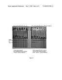 Methods and Compositions of Conjugating Gold to Biological Molecules diagram and image