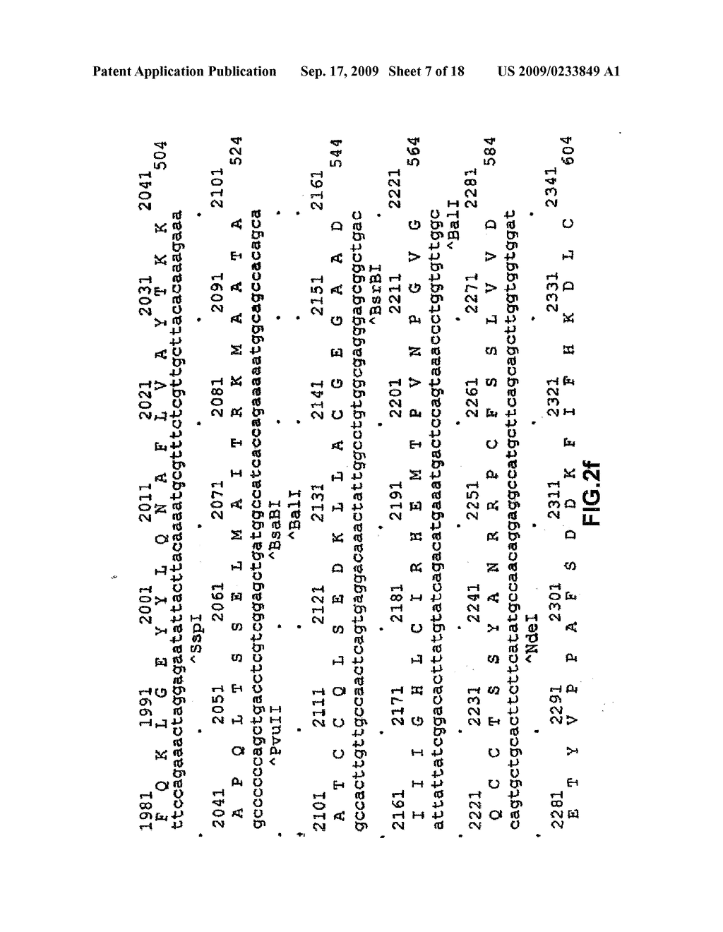 Recombinant Alpha-Fetoprotein, Method and Means for Preparation Thereof, Compositions on the Base Thereof and Use Thereof - diagram, schematic, and image 08