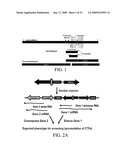 COMPOSITIONS AND METHODS FOR INHIBITING GSK3 ACTIVITY AND USES THEREOF diagram and image