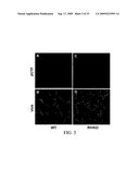 COMPOSITIONS AND METHODS FOR INHIBITING GSK3 ACTIVITY AND USES THEREOF diagram and image