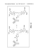 FLUORESCENCE DETECTION SYSTEM diagram and image