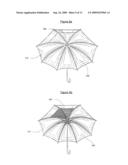 Umbrella and Umbrella Canopy diagram and image