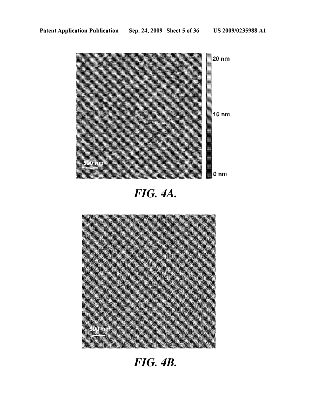 SOLAR CELLS BASED ON POLYMER NANOWIRES - diagram, schematic, and image 06