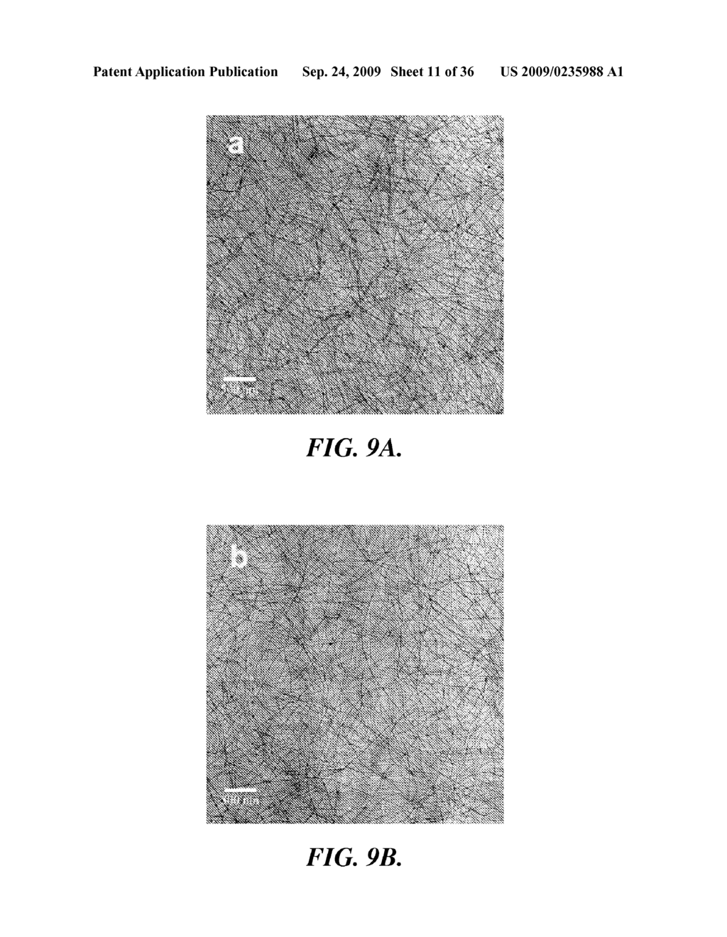 SOLAR CELLS BASED ON POLYMER NANOWIRES - diagram, schematic, and image 12