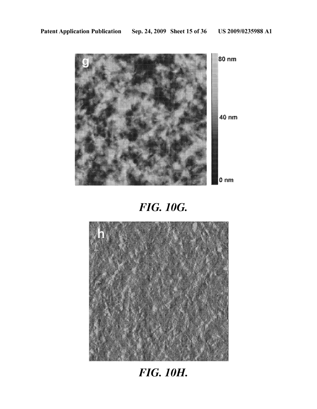 SOLAR CELLS BASED ON POLYMER NANOWIRES - diagram, schematic, and image 16