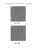 SOLAR CELLS BASED ON POLYMER NANOWIRES diagram and image