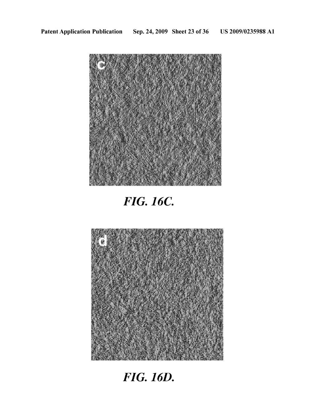 SOLAR CELLS BASED ON POLYMER NANOWIRES - diagram, schematic, and image 24