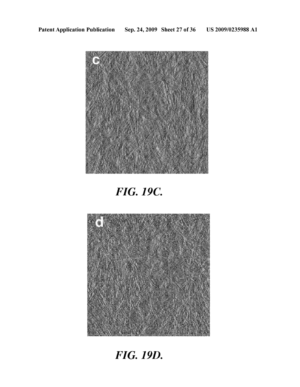 SOLAR CELLS BASED ON POLYMER NANOWIRES - diagram, schematic, and image 28