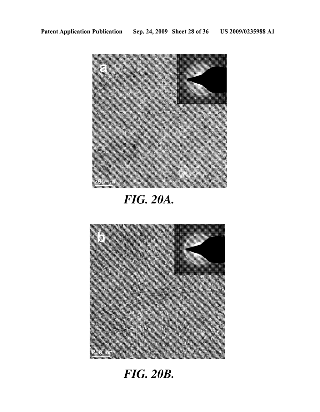 SOLAR CELLS BASED ON POLYMER NANOWIRES - diagram, schematic, and image 29