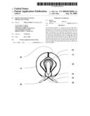 Protection Device With A Protective Cover diagram and image