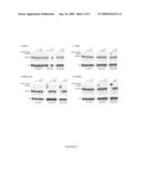 MICRORNA DETECTION diagram and image