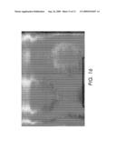 CONVEX LENSLET ARRAY DIFFUSER diagram and image