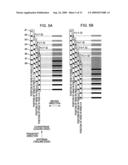 Concentration correcting method diagram and image