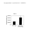 TOLL LIKE RECEPTOR (TLR) STIMULATION FOR OCULAR ANGIOGENESIS AND MACULAR DEGENERATION diagram and image