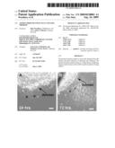 AMNION-DERIVED STEM CELLS AND USES THEREOF diagram and image