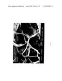 BIOMIMETIC COMPOSITION REINFORCED BY A POLYELECTROLYTIC COMPLEX OF HYALURONIC ACID AND CHITOSAN diagram and image