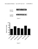 NOVEL ANTI-DIABETIC HERBAL COMPOSITION, METHOD FOR PREPARING THE SAME AND USE THEREOF diagram and image