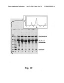 Process for removal of pathogens from liquid eggs diagram and image