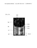 HONEYCOMB STRUCTURE diagram and image