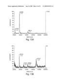 Clonable Tag for Purification and Electron Microscopy Labeling diagram and image