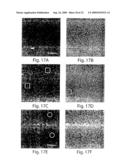 Clonable Tag for Purification and Electron Microscopy Labeling diagram and image