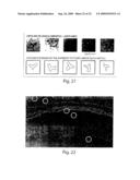 Clonable Tag for Purification and Electron Microscopy Labeling diagram and image