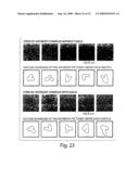 Clonable Tag for Purification and Electron Microscopy Labeling diagram and image