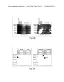 Clonable Tag for Purification and Electron Microscopy Labeling diagram and image