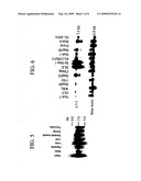 DLC-1 GENE DELETED IN CANCERS diagram and image