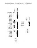 DLC-1 GENE DELETED IN CANCERS diagram and image