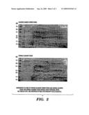 METHOD FOR DIAGNOSIS AND PROGNOSIS OF EPITHELIAL CANCERS diagram and image