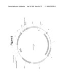 MAMMALIAN EXPRESSION VECTORS AND USES THEREOF diagram and image