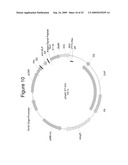 MAMMALIAN EXPRESSION VECTORS AND USES THEREOF diagram and image