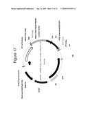 MAMMALIAN EXPRESSION VECTORS AND USES THEREOF diagram and image