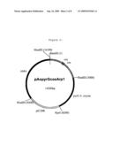 Fungal Transcriptional Activator Useful In Methods for Producing Polypeptides diagram and image