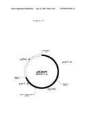 Fungal Transcriptional Activator Useful In Methods for Producing Polypeptides diagram and image